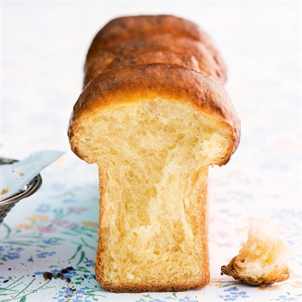 Klassisches Brioche