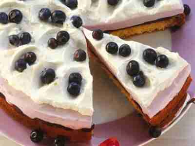 Heidelbeer-Kefir-Torte