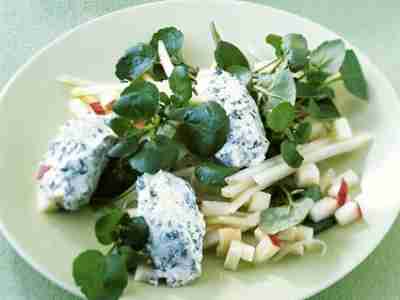 Brennnessel-Käse auf Kressesalat