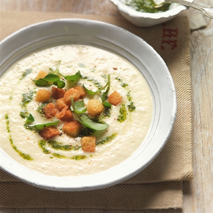 Steirer Almkäsesuppe mit Petersilien-Kresse-Pesto