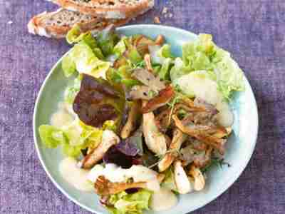 Eichblattsalat mit Austernpilzen