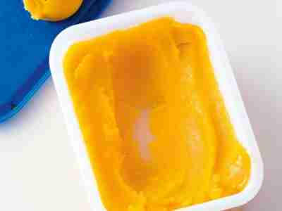 Mangosorbet