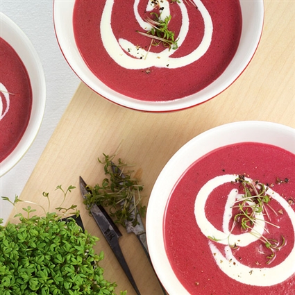 Rote-Bete-Creme mit Ingwer