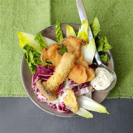 Wintersalat mit Frittierten Seitlingen