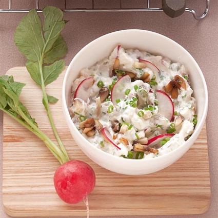 Radieschen-Champignon-Aufstrich