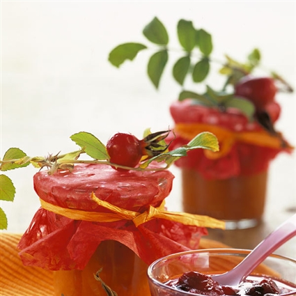 Hagebutten-Zwiebel-Sauce