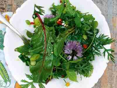 Querbeetsalat