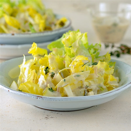 Endiviensalat