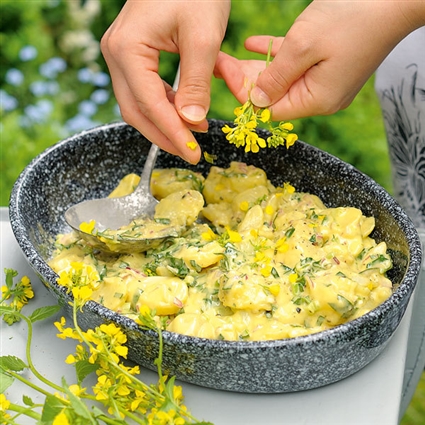 Kartoffelsalat mit Mayo