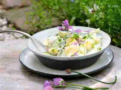 Kartoffelsalat mit Kräutern