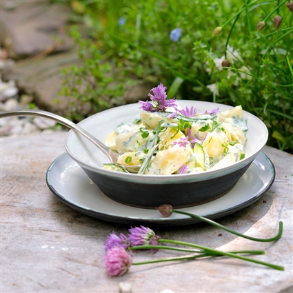 Kartoffelsalat mit Kräutern
