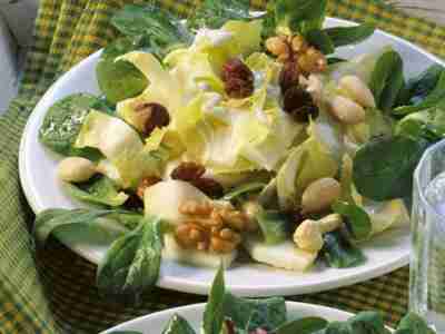 Apfel-Chicorée-Salat