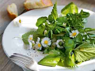 Brunnenkressesalat mit Wildkräutern und Blüten