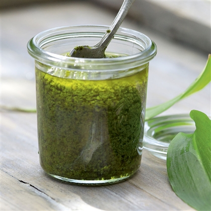 Bärlauchpesto mit Mandeln und Sonnenblumenkernen