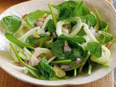 Fenchelsalat mit Spinat