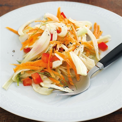 Veganer Fenchelsalat mit Orangendressing