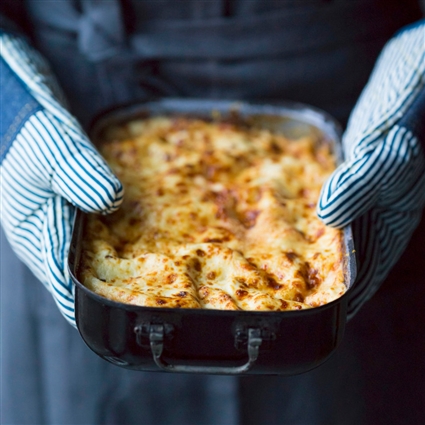 Pilz-Lasagne mit Paprika