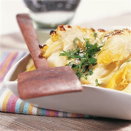 Vegetarisches Chicoréegratin