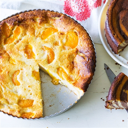 Käsekuchen mit Mandarinen