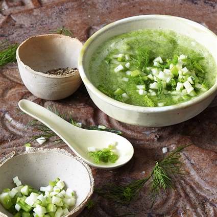 Gurken-Fenchel-Süppchen mit Dill und Äpfeln