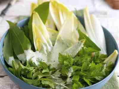 Chicorée-Giersch-Salat