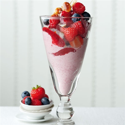 Veganer Frozen Haferjoghurt mit Macadamiakrokant