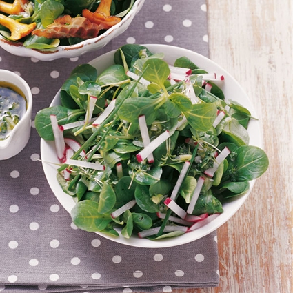 Feldsalat mit Kräutersauce