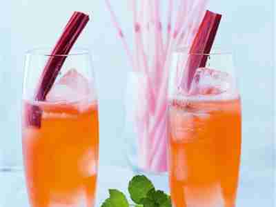 Rhubarb Mint Cooler – Cocktail mit Gin