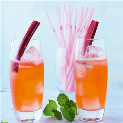 Rhubarb Mint Cooler – Cocktail mit Gin