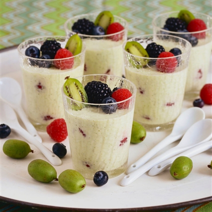 Zitronen-Kräuter-Mousse