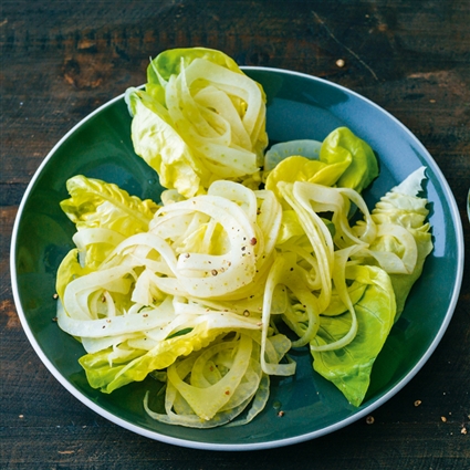 Fenchel-Blatt-Salat
