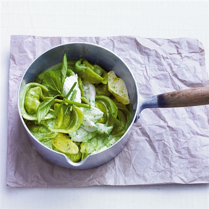 Grüner Tortellinisalat