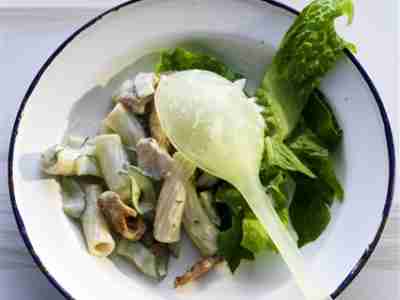 Nudelsalat mit Puten-Gyros