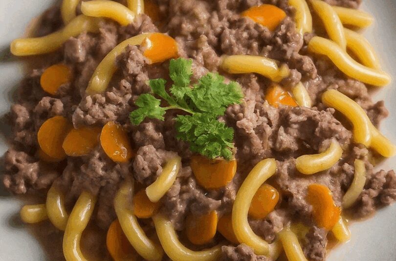 Hackfleischauflauf – Nudel Hackfleisch Auflauf