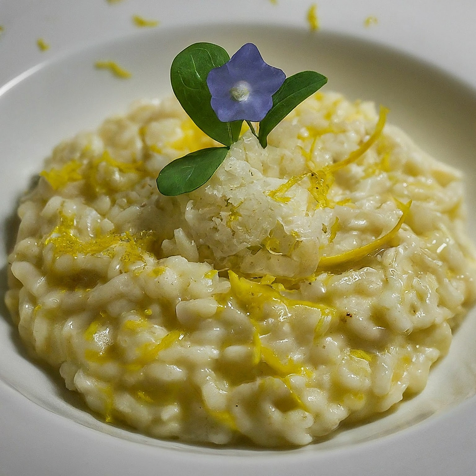 Zitronenrisotto-–-Cremiges-Risotto-mit-sonniger-Frische Zitronenrisotto – Cremiges Risotto mit sonniger Frische
