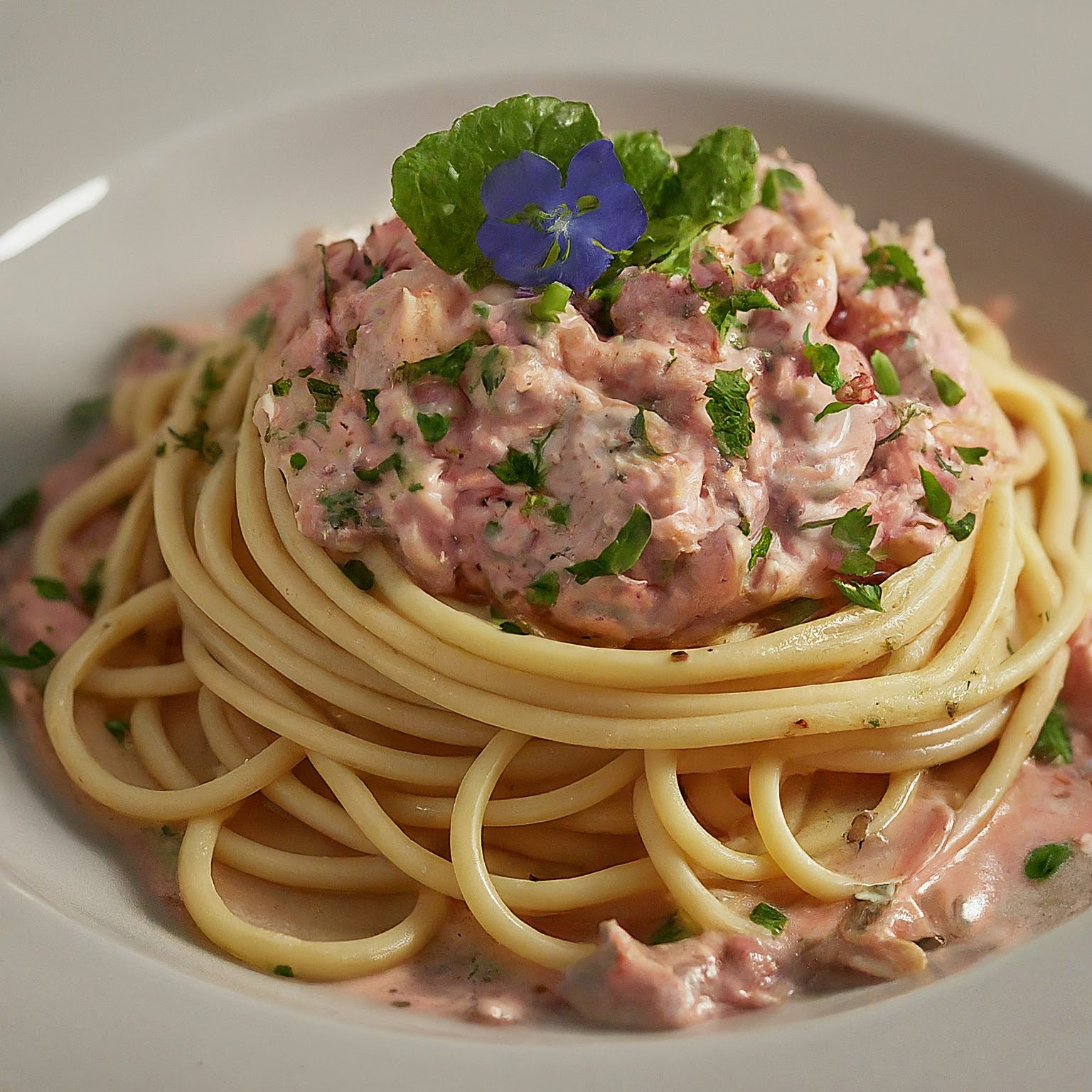 Spaghetti-mit-Thunfisch-aus-der-Dose-–-Spaghetti-mit-Thunfisch-Sahne-Sosse Spaghetti mit Thunfisch aus der Dose – Spaghetti mit Thunfisch Sahne Soße