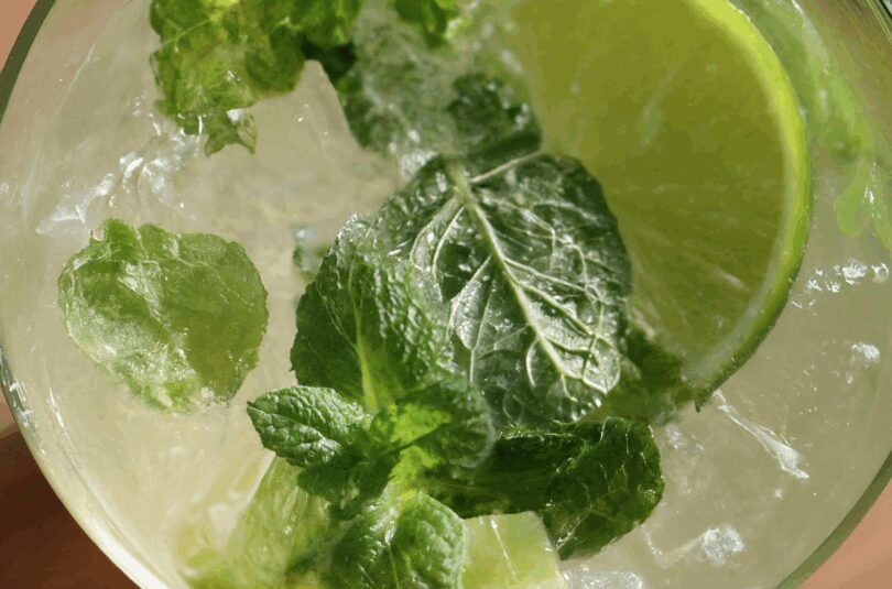 Virgin-Mojito-–-Erfrischung-pur Virgin Mojito – Erfrischung pur